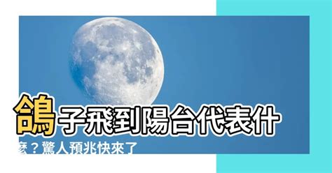 鴿子飛到陽台代表